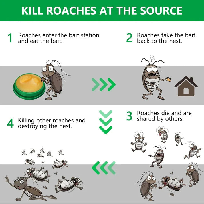 Cockroach Killer Gel (BUY 1 GET 1 FREE )