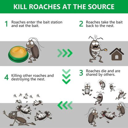 Cockroach Killer Gel (BUY 1 GET 1 FREE )