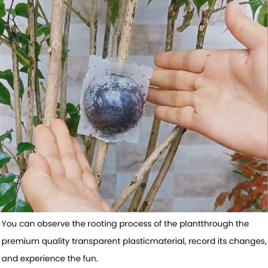 Rooting Balls Pack of 5 with Pot Mix Combo