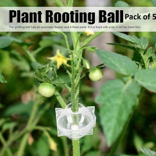 Reusable Plant Root Growth Balls with Locks (Pack of 5)