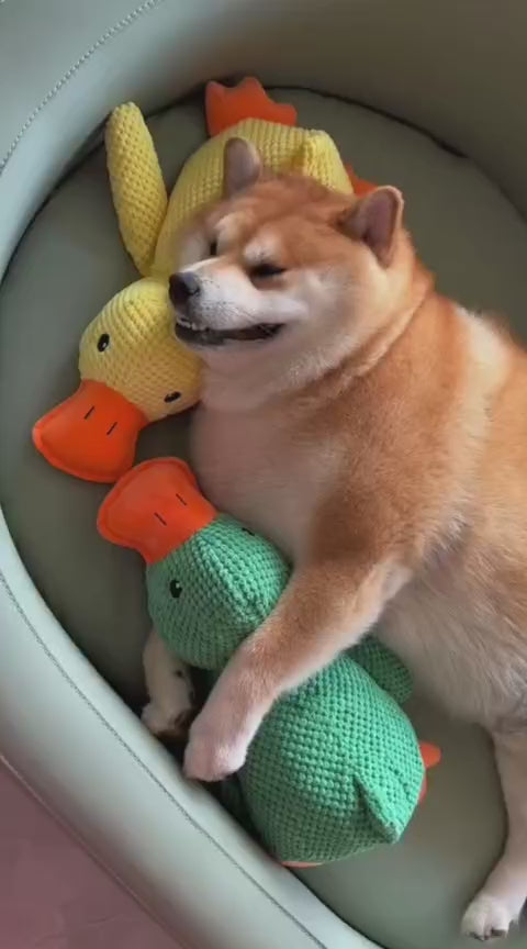 Stuffed Squeaky Plush  Dog Toy for Pets Engagement